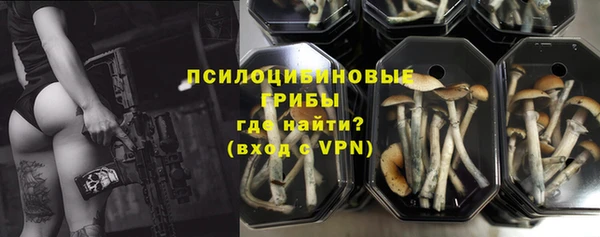 МДПВ Протвино