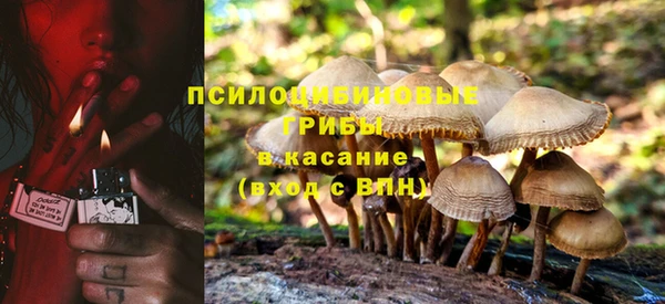 ешки Бронницы