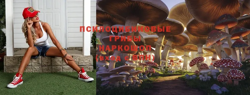 Псилоцибиновые грибы Psilocybe  Купино 